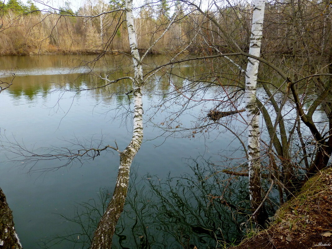 Озерко в лесу - Raduzka (Надежда Веркина)