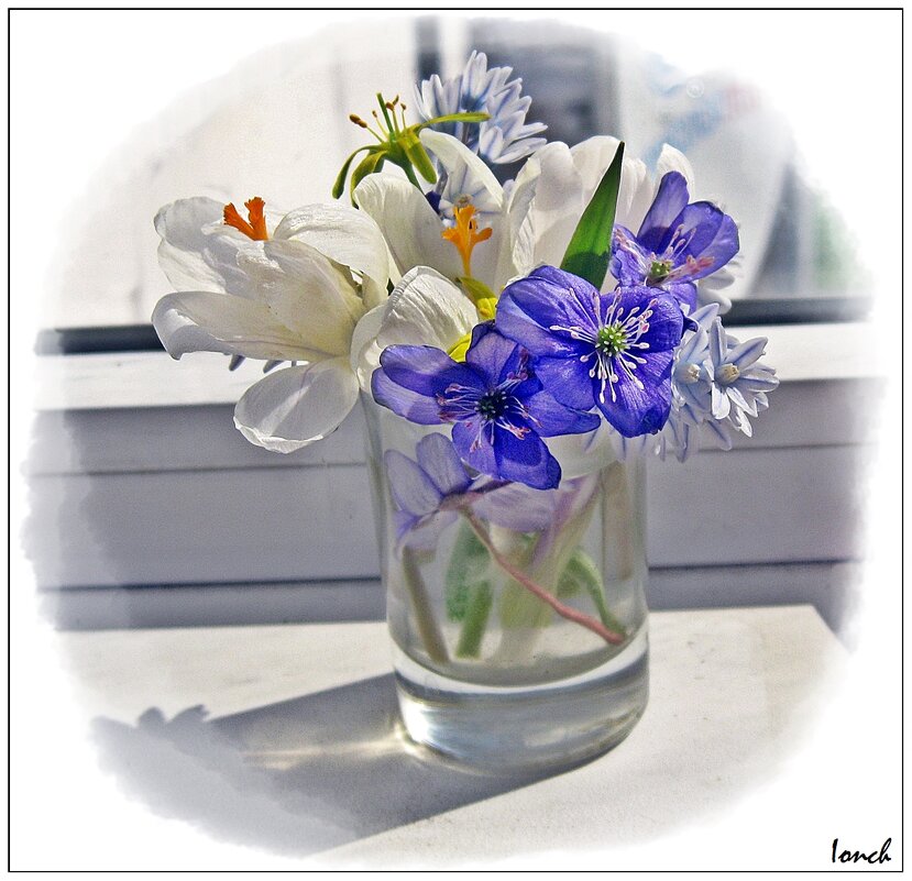 Still Life In Spring - muh5257 