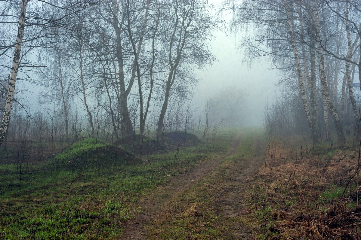 По туманным дорогам апреля - Валерий Иванович