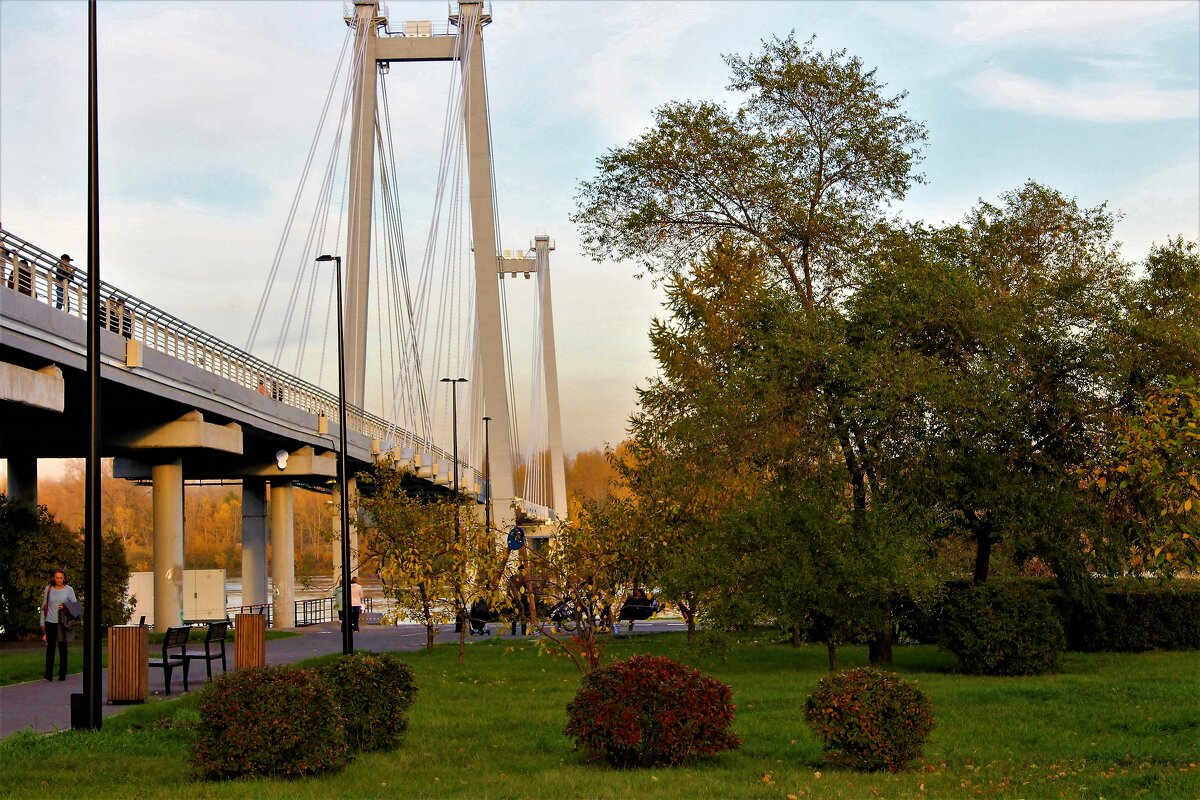 Мост - Василий 