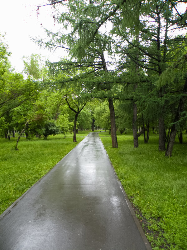 Парк после дождя - Павел Айдаров