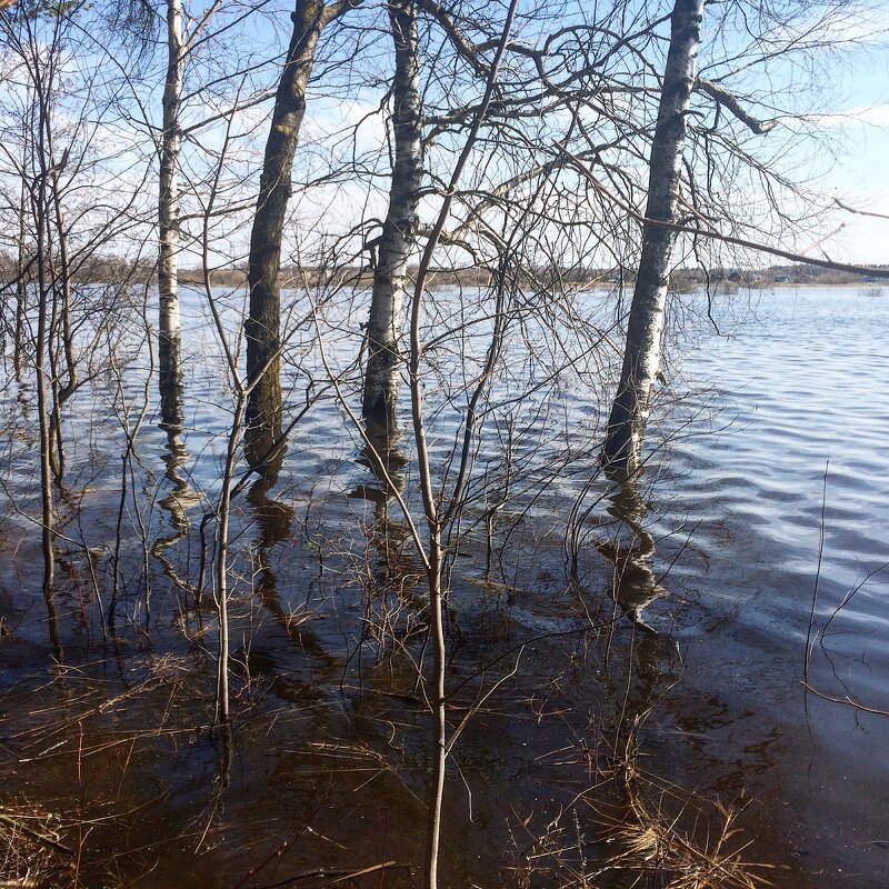 Вода, вода, кругом вода.. - Татьяна 