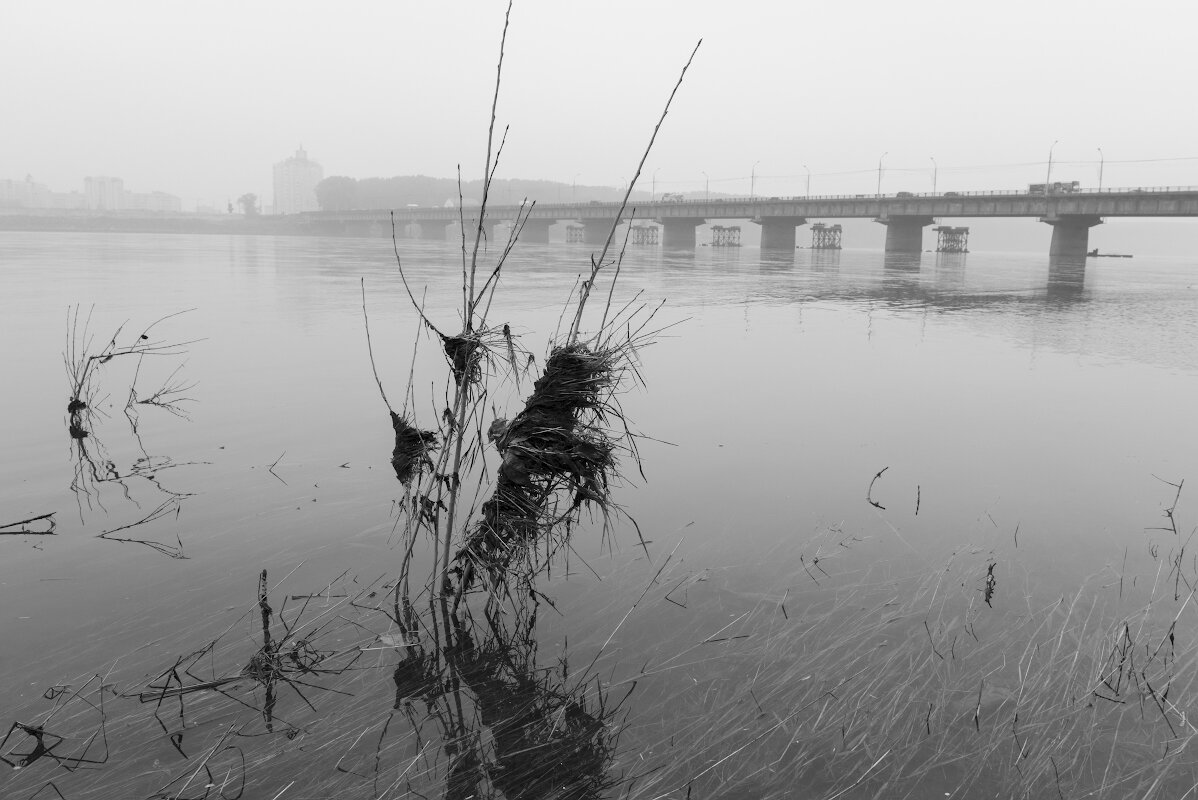 Вода уходит... - Валерий Михмель 