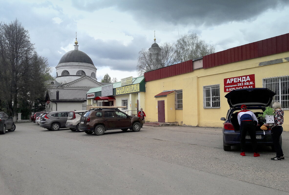 всё дело в хорошей рассаде - Любовь 