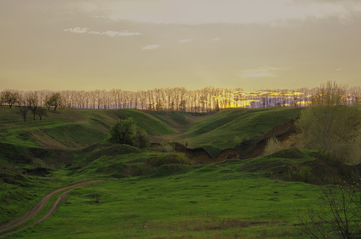 Роганские зарисовки.Вечерело - Александр Мац