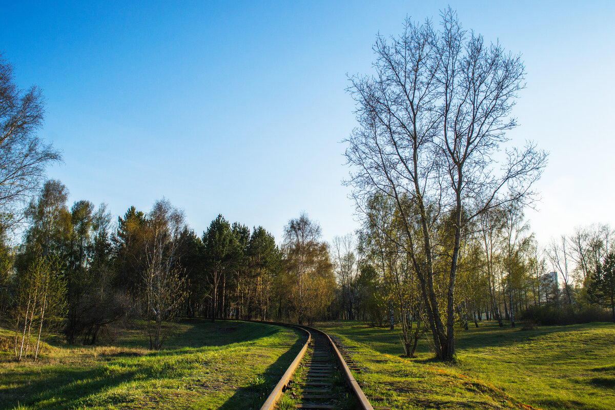 The way that goes into the distance - Roman Griev