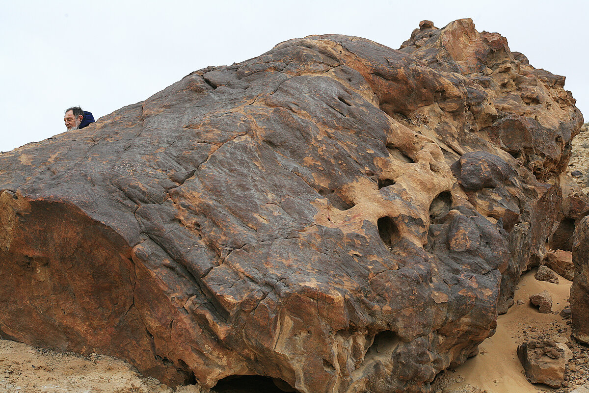 А ведь всего каких-нибудь 100 миллионов лет назад эти камни были деревьями… - сашка ярмарков