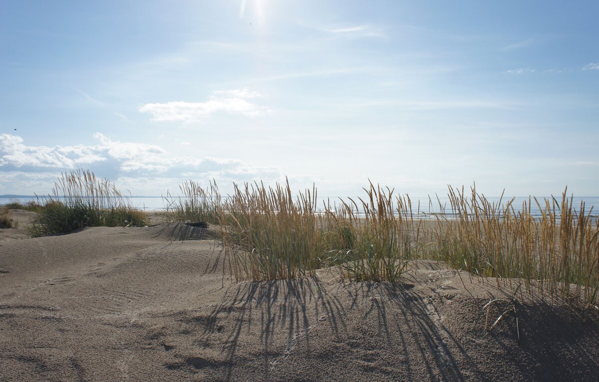 Настоящие балтийские дюны – очень живописное место - Елена Павлова (Смолова)
