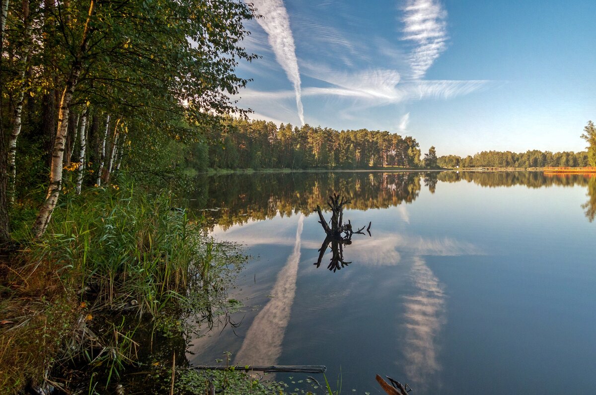Луково (озеро) озёра Московской области