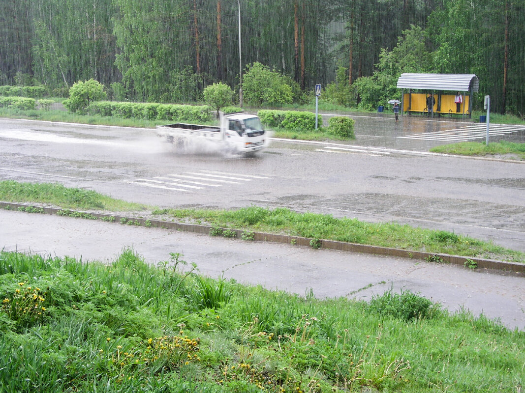 Весенний дождь - Николай 