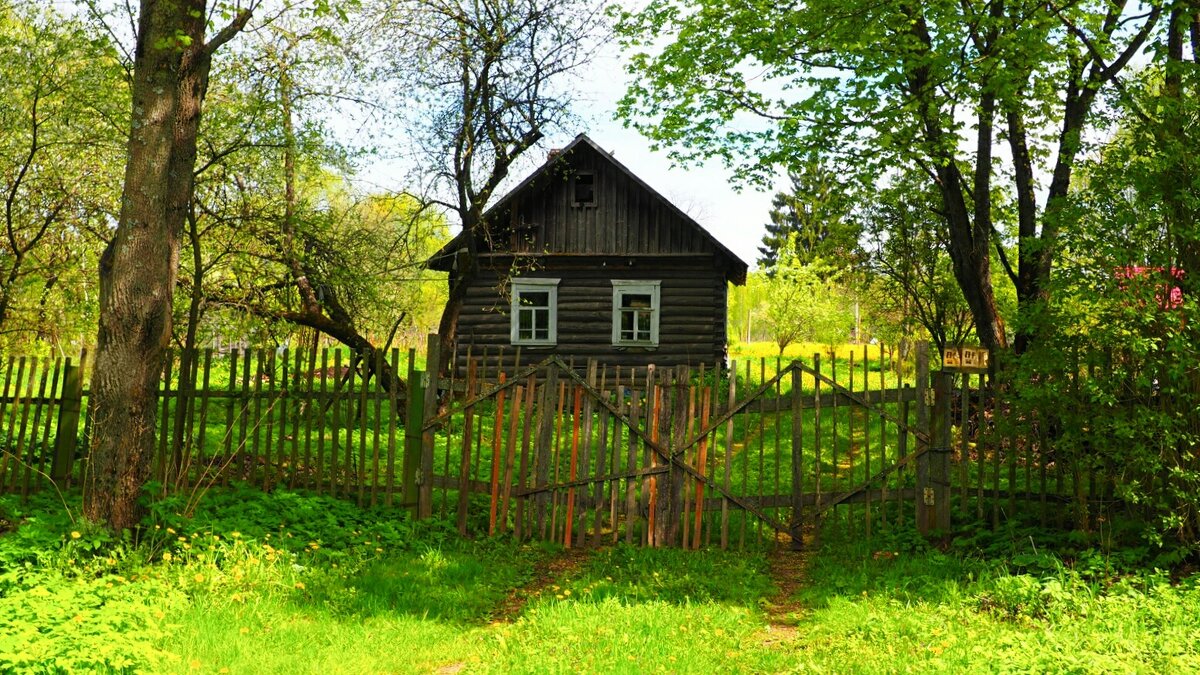 Домик в деревне - Милешкин Владимир Алексеевич 