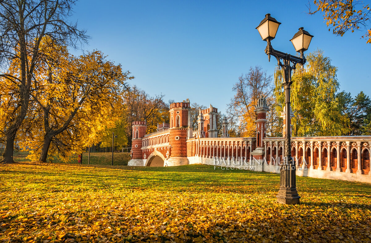 Мост в Царицыно - Юлия Батурина