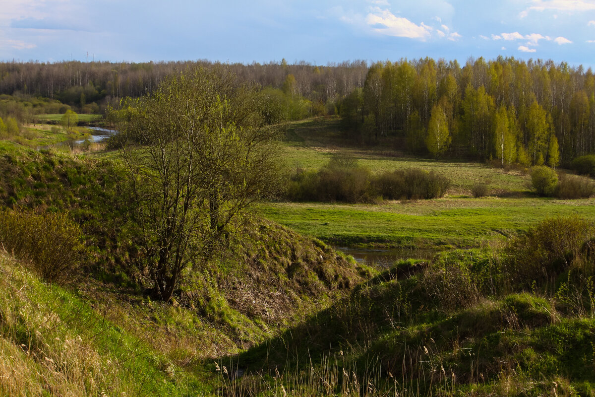 Весенний пейзаж - Денис Матвеев
