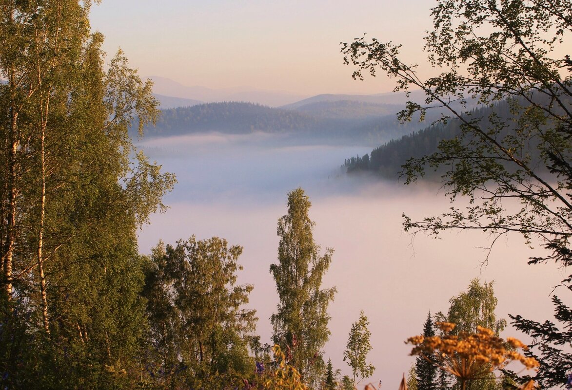 Полна долина тумана - Сергей Чиняев 