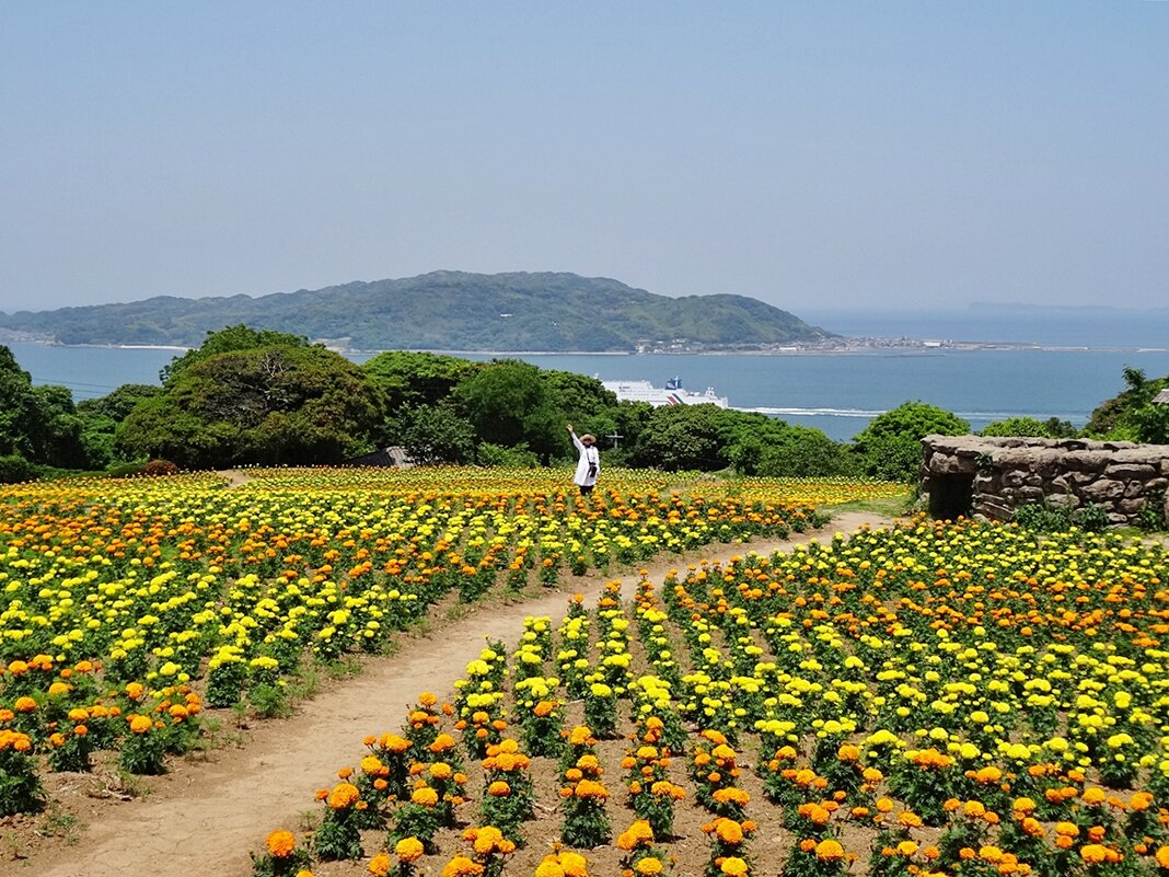 Остров Nokonoshima Island Park Япония - wea *