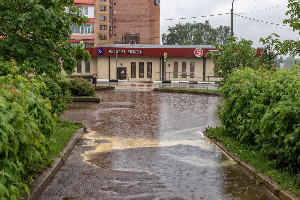 А у нас сегодня дождь, а у Вас ? - Анатолий. Chesnavik.