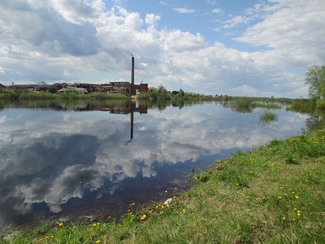 Большая вода на реке Сухона. - Сергей Кирилловский