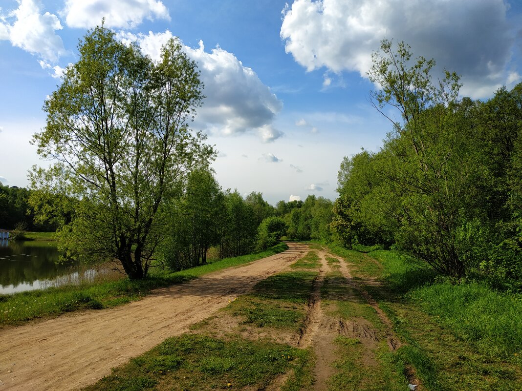 Это май-баловник, это май-чародей ..., но отмаялись :-) - Андрей Лукьянов