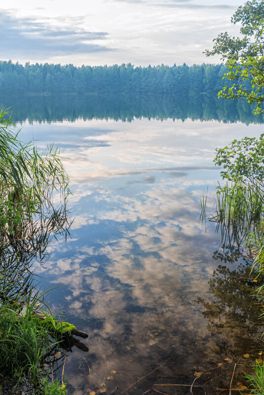 Озеро Боровое - Евгений Кучеренко