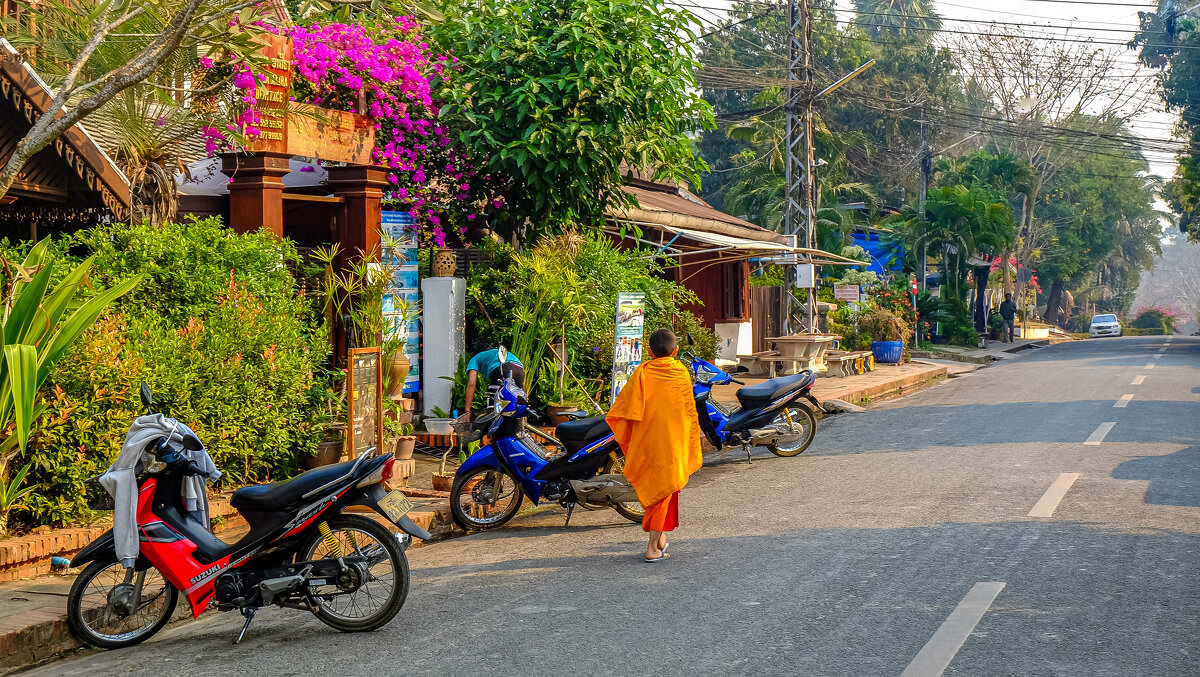 Morning in Laos - Alena Kramarenko