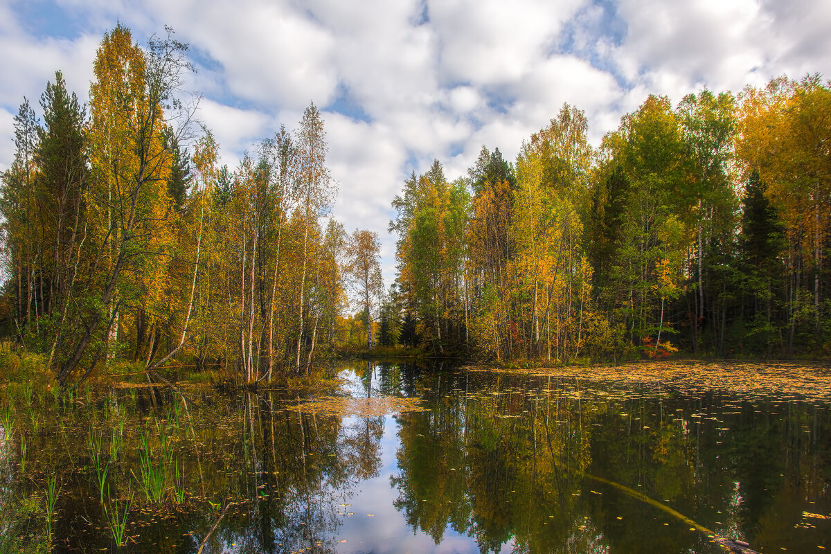 Осеннее озеро - Vladimbormotov 