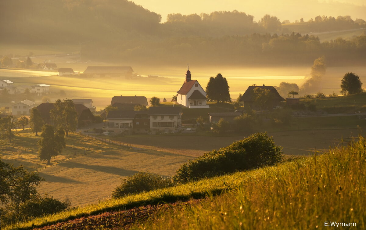 misty morning - Elena Wymann