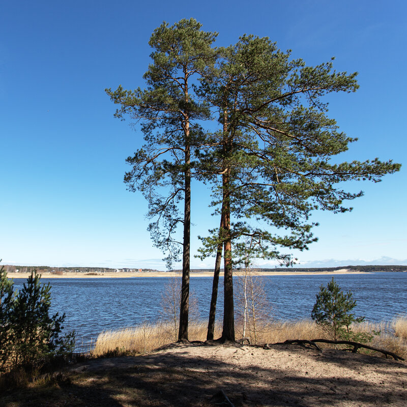 *** - Aлександр Клиновский