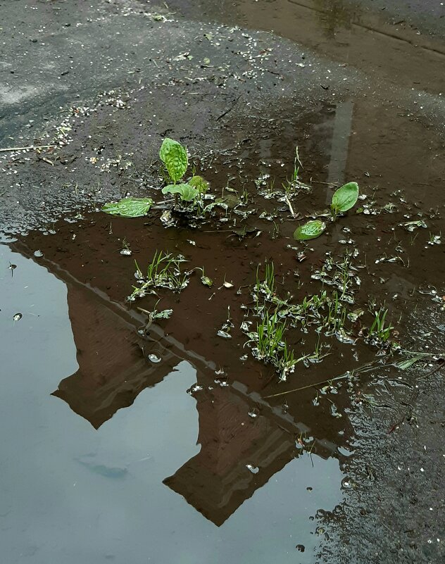 На воде - Николай Филоненко 