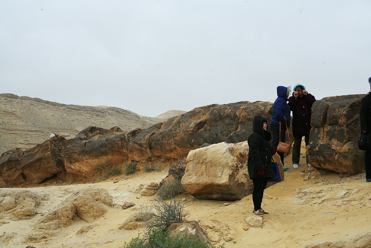 иудейская пустыня.  Рамон - величайший кратер в мире. а раньше эти камни были деревьями - сашка ярмарков