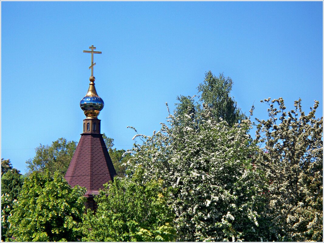 Купол Обыденной церкви. - Валерия Комова
