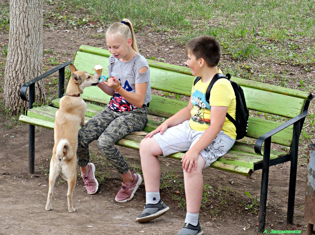 А  ну-ка, Тузик, отними! :-) - Андрей Заломленков