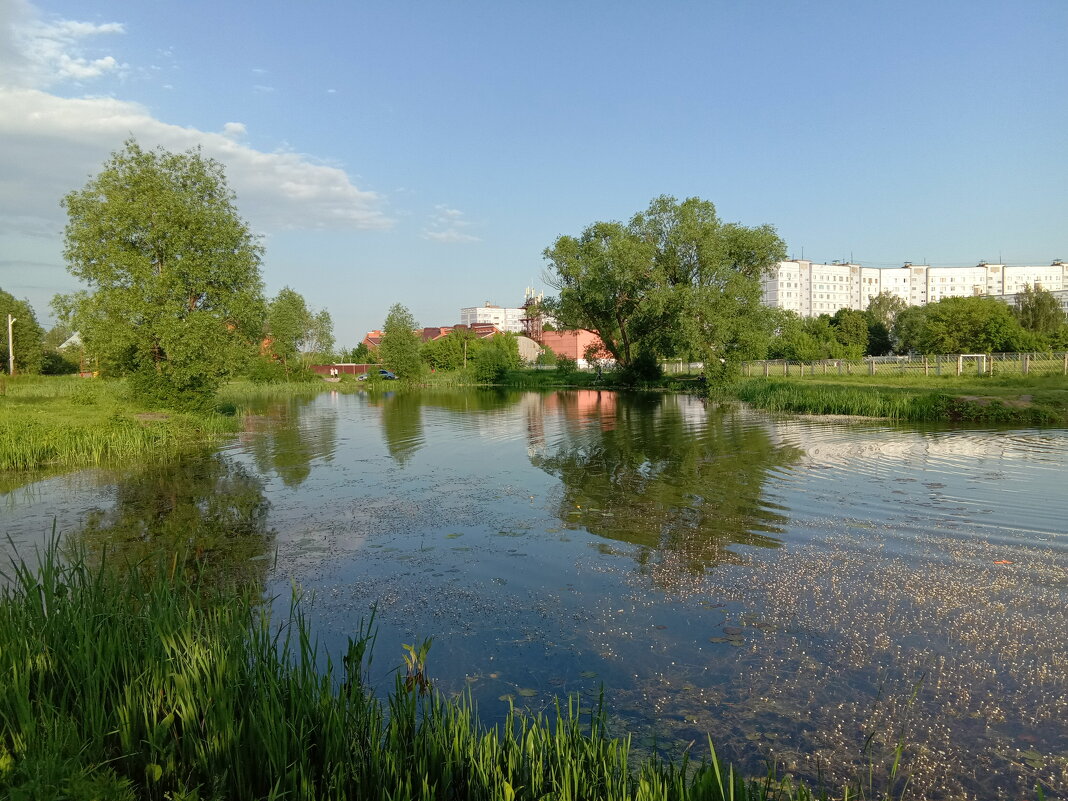 Рябь на воде пруда - Tarka 