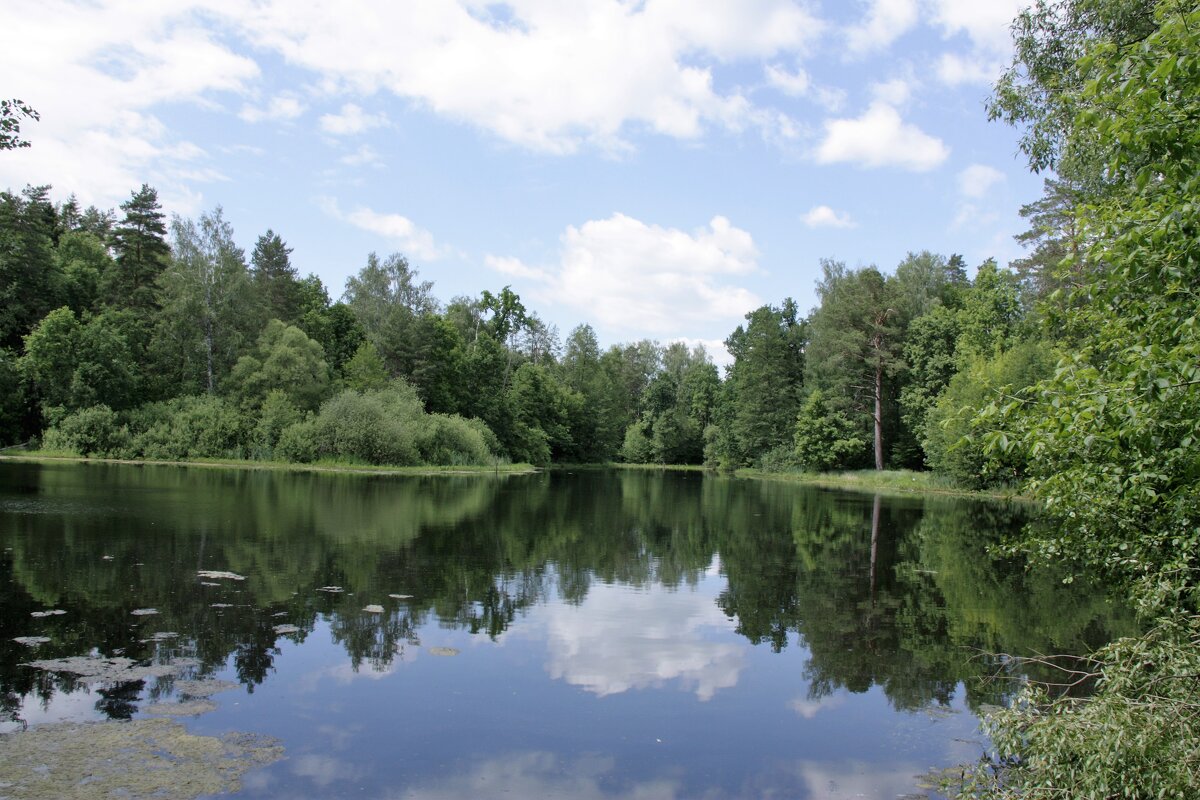 лето - Владимир Холодницкий