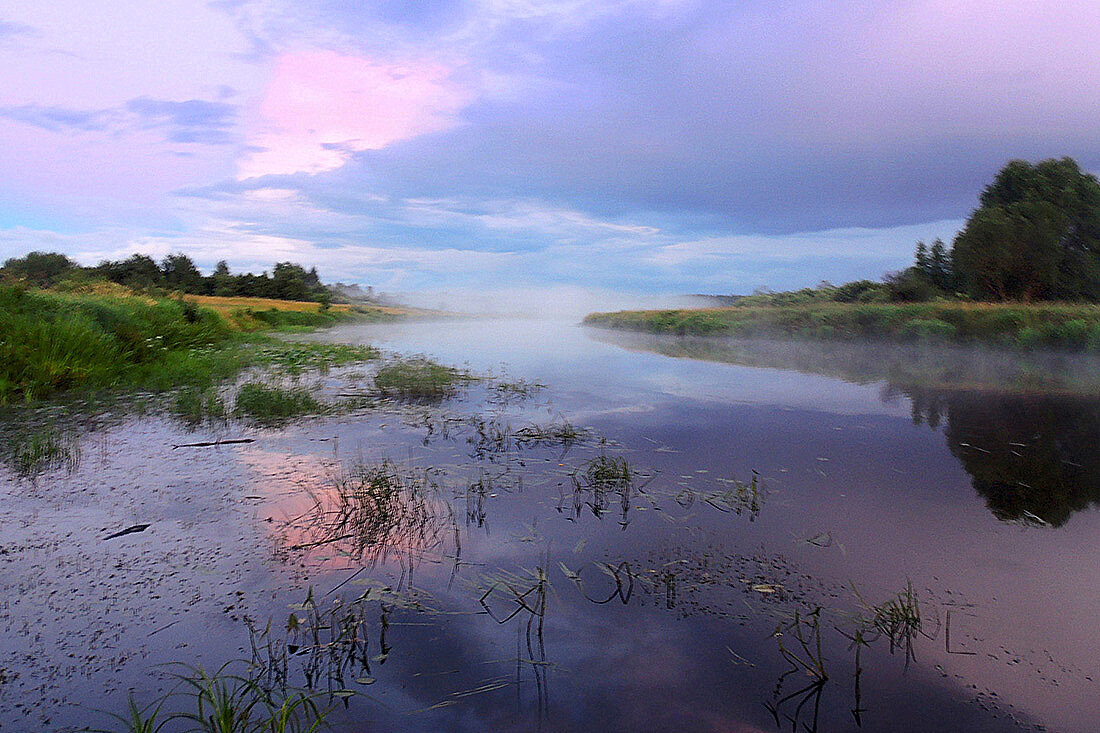 Волшебно-серебристый туман польётся тихо вдоль реки - Павлова Татьяна Павлова