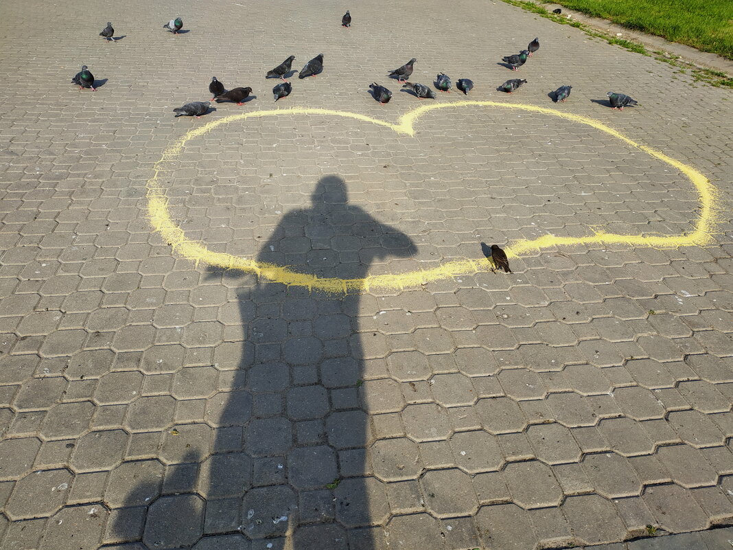 Кто умнее - скворец или 20 голубей? - Андрей Лукьянов