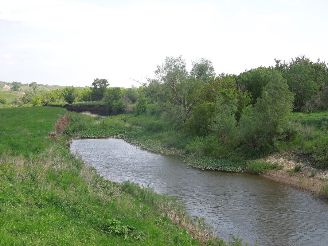 воды малых речушек - Наталья Кочетова 