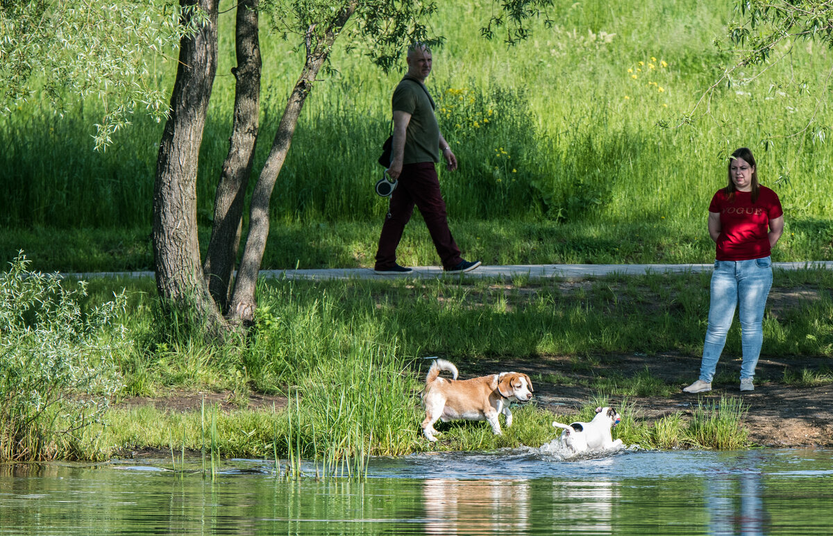 "Вода холодная?" - Владимир Безбородов