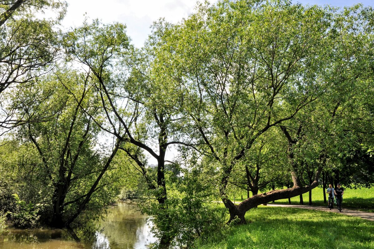 Речка Городня - Анатолий Колосов