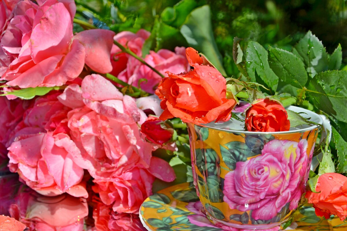 Чайные розы... - Элина Odinova