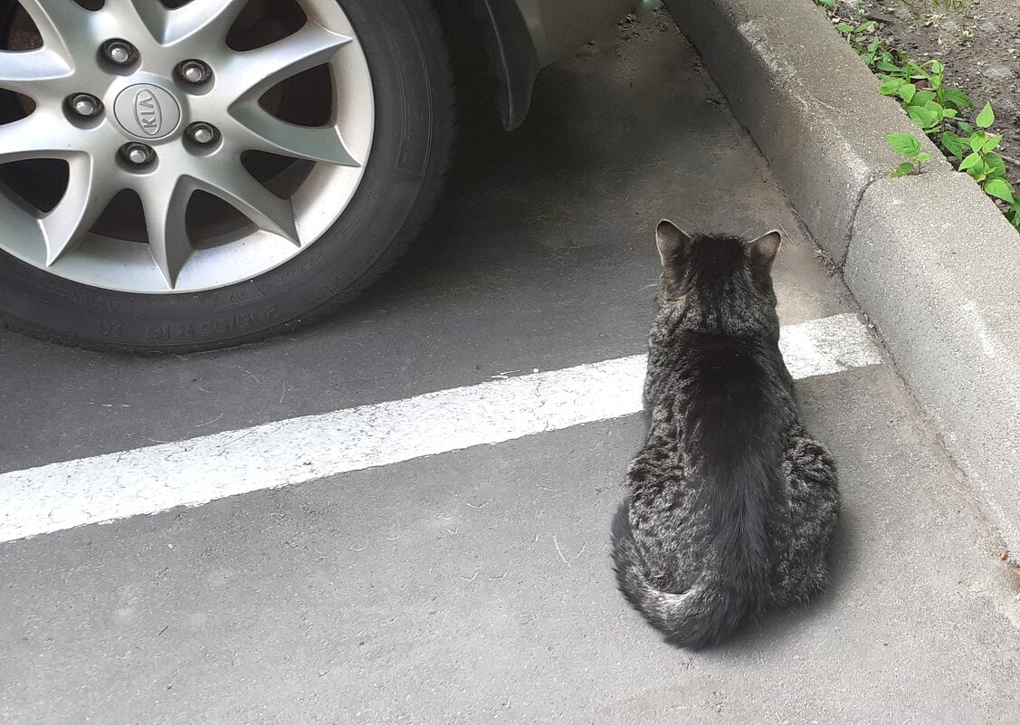 - Не хочу общаться... - Елена 