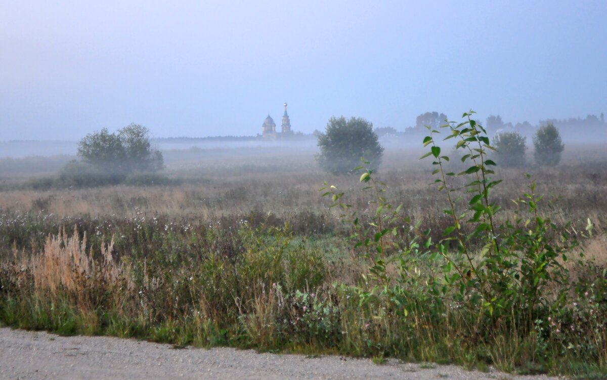 утренний туман - vg154 