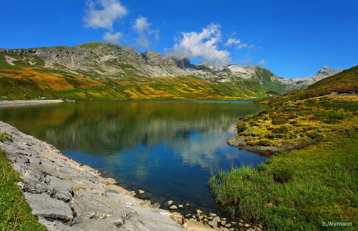пейзажи озера в горах - Tannensee - Elena Wymann
