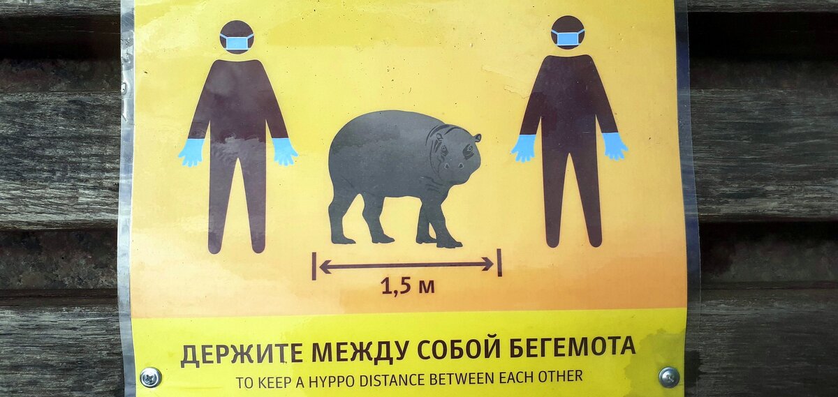 Предосторожности во время COVID-19 в московском зоопарке - Елена 