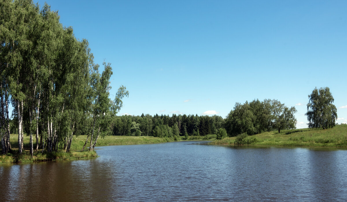 *** - Владимир Безбородов