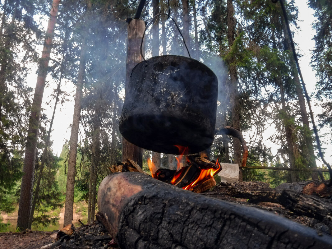 Кухня в лесу - Дмитрий Иванов