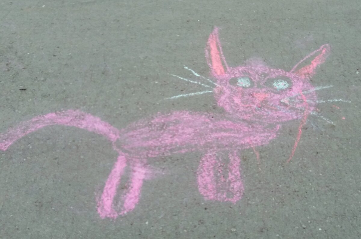 Розовый котик ( рисунок на асфальте) - Galina Solovova