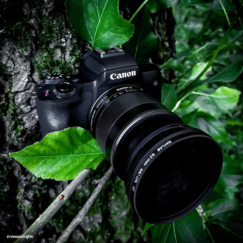 Любимый инструмент Canon M50 + Canon11-22mm - Роман Алексеев