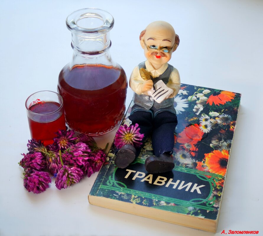 Кто клевер постоянно пьёт - до самой смерти доживёт! :-) - Андрей Заломленков