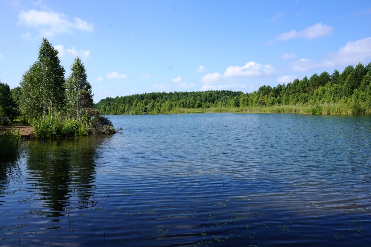 На озере - Лариса Рогова