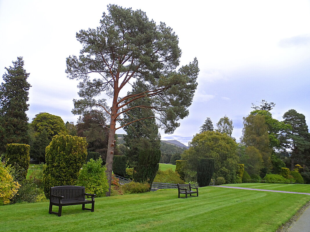 Blair Castle - Белый замок - Галина 